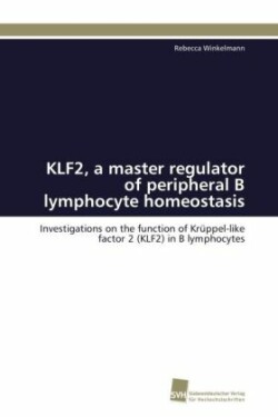 KLF2, a master regulator of peripheral B lymphocyte homeostasis