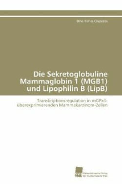 Sekretoglobuline Mammaglobin 1 (MGB1) und Lipophilin B (LipB)