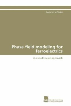 Phase-field modeling for ferroelectrics