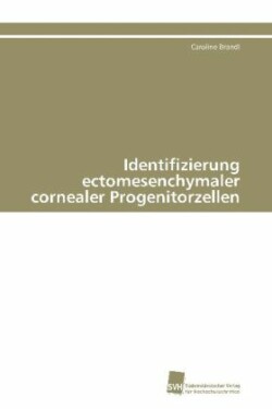 Identifizierung ectomesenchymaler cornealer Progenitorzellen