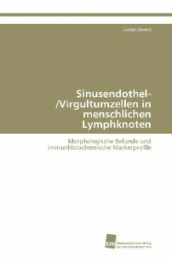 Sinusendothel-/Virgultumzellen in menschlichen Lymphknoten