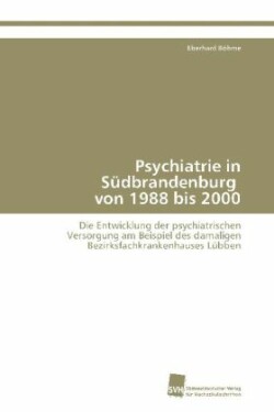 Psychiatrie in Sudbrandenburg Von 1988 Bis 2000
