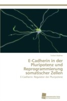 E-Cadherin in der Pluripotenz und Reprogrammierung somatischer Zellen