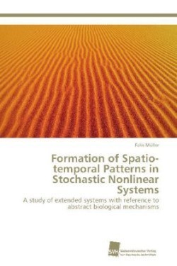 Formation of Spatio-Temporal Patterns in Stochastic Nonlinear Systems