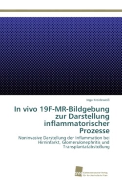 In vivo 19F-MR-Bildgebung zur Darstellung inflammatorischer Prozesse