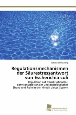 Regulationsmechanismen der Säurestressantwort von Escherichia coli