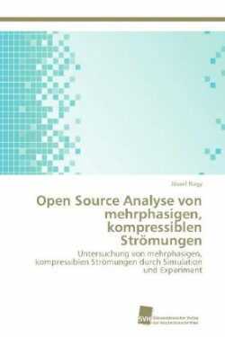 Open Source Analyse von mehrphasigen, kompressiblen Strömungen