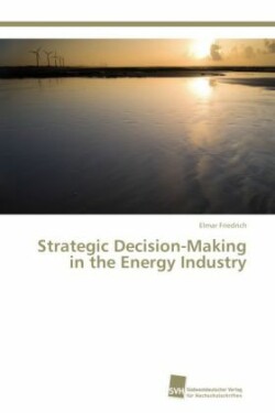 Strategic Decision-Making in the Energy Industry