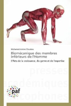 Biomécanique Des Membres Inférieurs de l'Homme