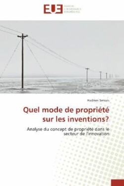 Quel mode de propriété sur les inventions?