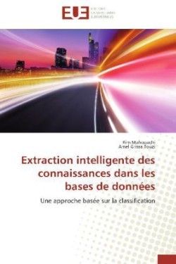 Extraction Intelligente Des Connaissances Dans Les Bases de Données