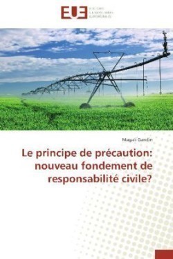 Le principe de précaution: nouveau fondement de responsabilité civile?