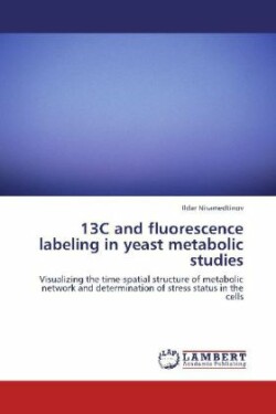 13c and Fluorescence Labeling in Yeast Metabolic Studies