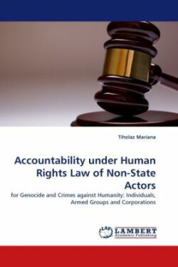 Accountability Under Human Rights Law of Non-State Actors