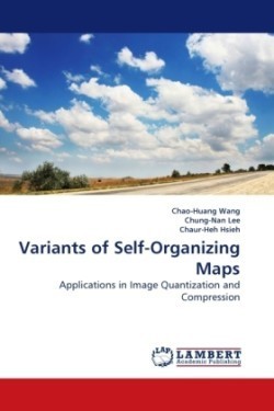 Variants of Self-Organizing Maps