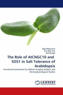 Role of Atcngc10 and Sos1 in Salt Tolerance of Arabidopsis