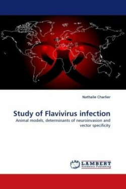 Study of Flavivirus Infection