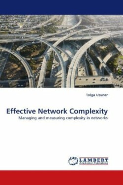 Effective Network Complexity