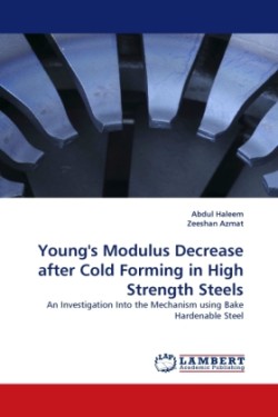 Young's Modulus Decrease after Cold Forming in High Strength Steels