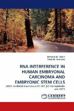 RNA Interference in Human Embryonal Carcinoma and Embryonic Stem Cells