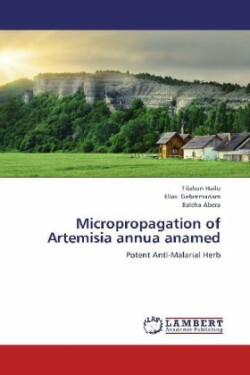 Micropropagation of Artemisia Annua Anamed