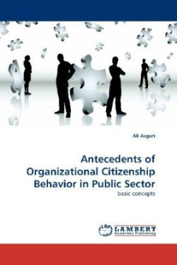 Antecedents of Organizational Citizenship Behavior in Public Sector
