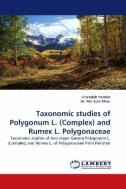 Taxonomic Studies of Polygonum L. (Complex) and Rumex L. Polygonaceae