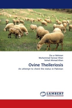 Ovine Theileriosis