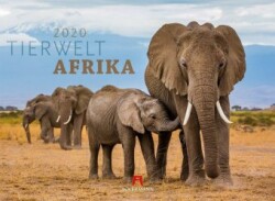 Tierwelt Afrika 2020