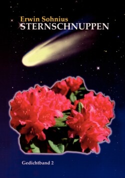 Sternschnuppen