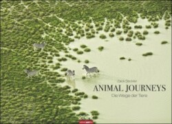Animal Journeys 2022
