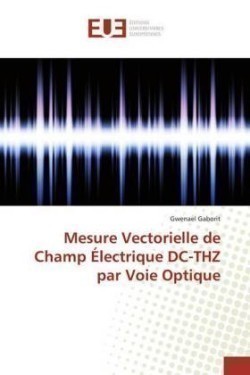Mesure Vectorielle de Champ Électrique DC-THZ par Voie Optique