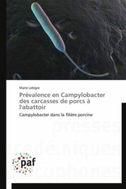 Prévalence en Campylobacter des carcasses de porcs à l'abattoir