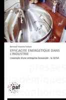 Efficacité Energétique Dans L'industrie