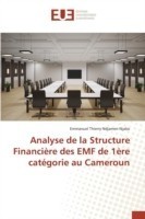 Analyse de la Structure Financière des EMF de 1ère catégorie au Cameroun