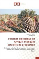 L'Ananas Biologique En Afrique: Pratiques Actuelles de Production