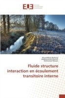 Fluide Structure Interaction En Ecoulement Transitoire Interne
