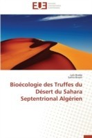 Bioécologie des Truffes du Désert du Sahara Septentrional Algérien