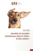 Anxiété Et Troubles Intestinaux Chez Le Chien, Le Lien Existe !