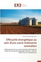 Efficacit� �nerg�tique Au Sein d'Une Usine d'Aliments Animaliers