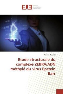 Etude structurale du complexe ZEBRA/ADN méthylé du virus Epstein Barr