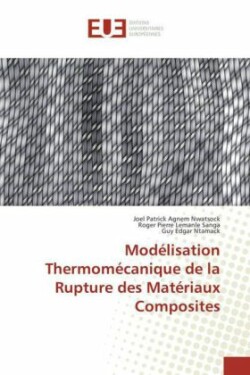 Modélisation Thermomécanique de la Rupture des Matériaux Composites