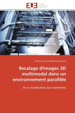 Recalage d'Images 3D Multimodal Dans Un Environnement Parallèle