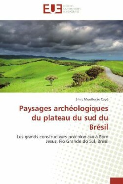 Paysages Archéologiques Du Plateau Du Sud Du Brésil