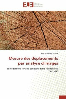 Mesure Des Déplacements Par Analyse d'Images