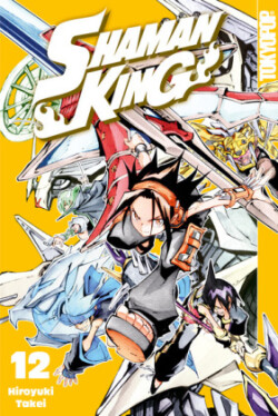 Shaman King. Bd.12