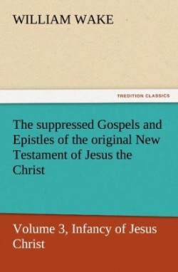 Suppressed Gospels and Epistles of the Original New Testament of Jesus the Christ, Volume 3, Infancy of Jesus Christ