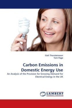 Carbon Emissions in Domestic Energy Use