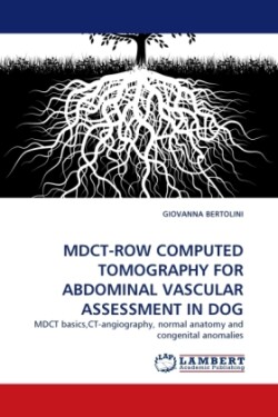 Mdct for Abdominal Vascular Assessment in Dogs