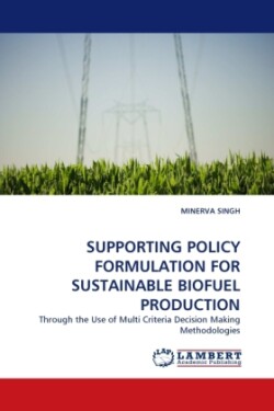 Supporting Policy Formulation for Sustainable Biofuel Production